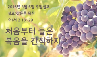 처음부터 들은 복음을 간직하자 –  요1서 2:20~24