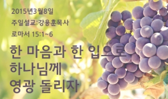 한 마음과 한 입으로 하나님께 영광 돌리자-롬15:1~6