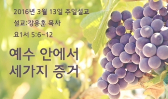 예수 안에서 세가지 증거 – 요1서 5:6~12