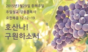 호산나! 구원하소서-요12:12~19