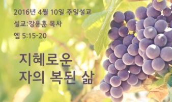 지혜로운 자의 복된 삶 – 엡 5:15-20