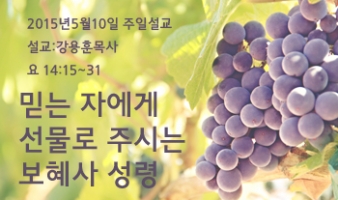 믿는 자에게 선물로 주시는 보혜사 성령-요14:15~31