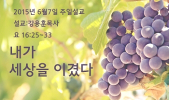 내가 세상을 이겼다-요16:25~33