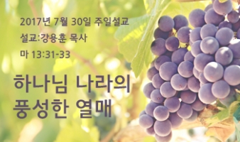 하나님 나라의 풍성한 열매 – 마 13:31-33