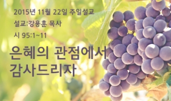 은혜의 관점에서 감사드리자-시95:1~11