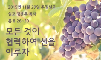 모든 것이 협력하여 선을 이루자-롬8:26~30